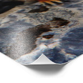 Impression Photo Écureuil terrestre Richardson (Coin)