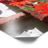 Impression Photo Édition Limitée Lady in Red (Coin)