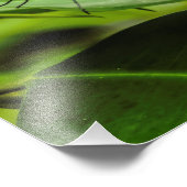 Impression Photo Effacer l'impression papillon (Coin)