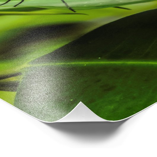 Impression Photo Effacer l'impression papillon (Coin)