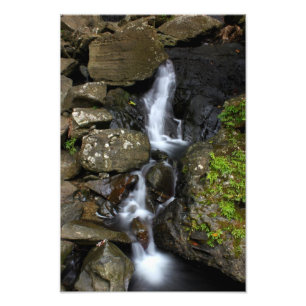 Impression Photo EL Yunque Porto Rico