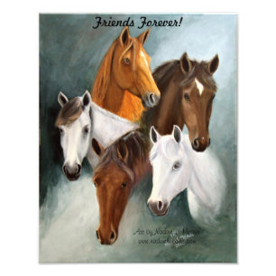 Impression Photo Élargissement de photo, 5 têtes de cheval