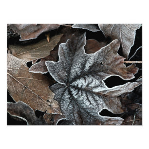 Impression Photo Élargissement personnalisé de vos photos 16" x 12"