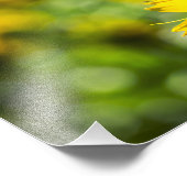 Impression photo Élégance Tournesol (Coin)