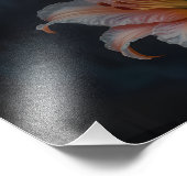 Impression Photo Elegant Lily Flower Art – Premium Prints & Unique  (Coin)