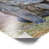 Impression Photo Eléphant bébé (Coin)