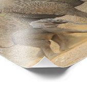 Impression Photo Elephant - Bébés animaux Belle (Coin)