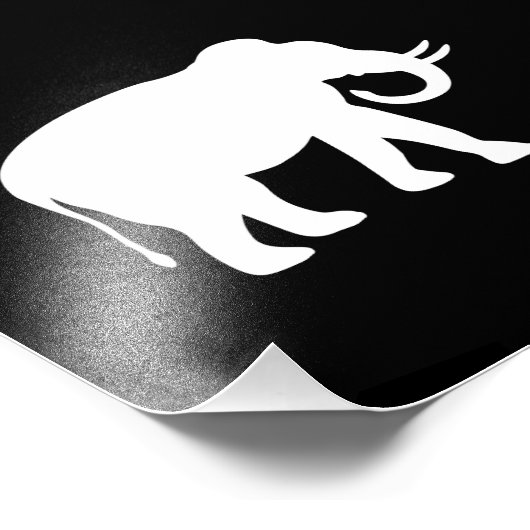 Impression Photo Eléphant blanc (Coin)