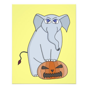 Impression Photo Eléphant citrouille