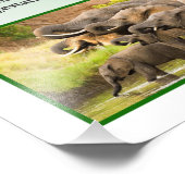 Impression Photo Eléphant de Bush en Afrique (Coin)