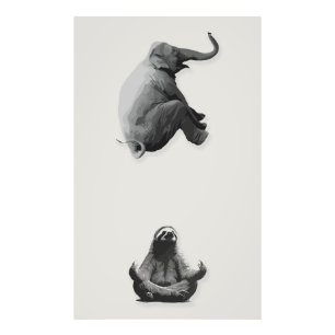 Impression Photo Éléphant et paresseux méditatif en harmonie