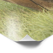 Impression Photo Eléphant indien / asiatique et jeune, Corbett (Coin)