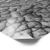 Impression Photo Elephant skin (Coin)