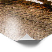 IMPRESSION PHOTO ÉLÉPHANTS (Coin)