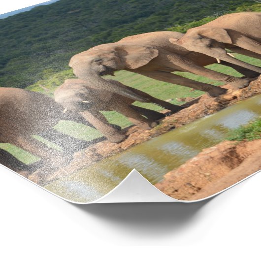 Impression Photo Eléphants (Coin)