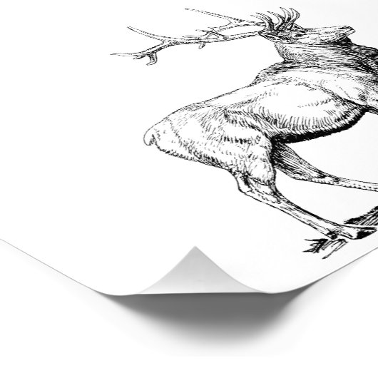 Impression Photo Elk (Coin)