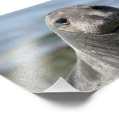 Impression Photo Elsie Mae Anacortes (Coin)