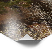 Impression Photo Emerald Pool Falls I du parc national Zion (Coin)