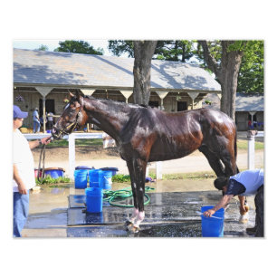 Impression Photo Empire Stakes Winner "Saratoga Snacks"