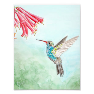 Impression Photo Empreinte d'aquarelle de colibri
