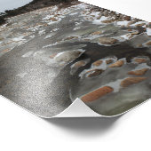 Impression Photo Empreinte de pas glaciale en rivière (Coin)