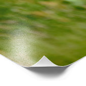 Impression Photo Empreinte de vol d'oiseau Puffin de l'Atlantique (Coin)