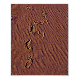 Impression Photo Empreintes de plage