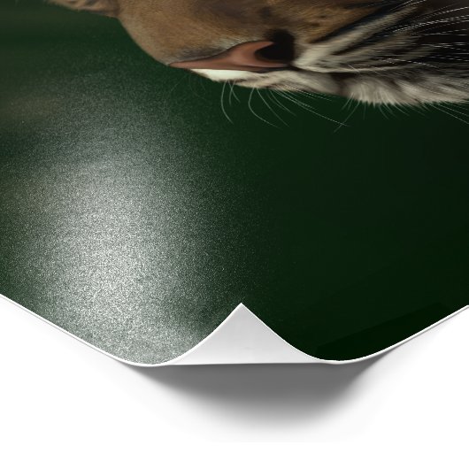 Impression Photo En attente de l'aube - Gretchen Bartz (Coin)