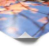 Impression Photo En haut, en feuille (Coin)