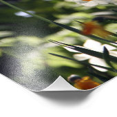 Impression Photo En souvenir (Coin)