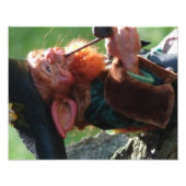 Impression Photo en termes réels (Devant)