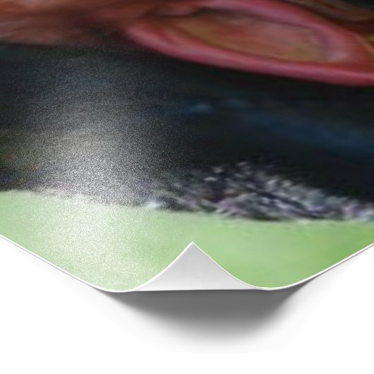 Impression Photo en termes réels (Coin)