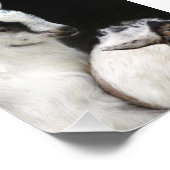 Impression Photo Enfants de chèvre (Coin)