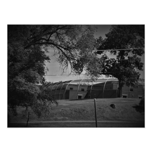 Impression Photo "Enfer, dans un panier" (Devant)
