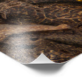 Impression Photo Ensemble de collages d'épices et d'ingrédients ali (Coin)