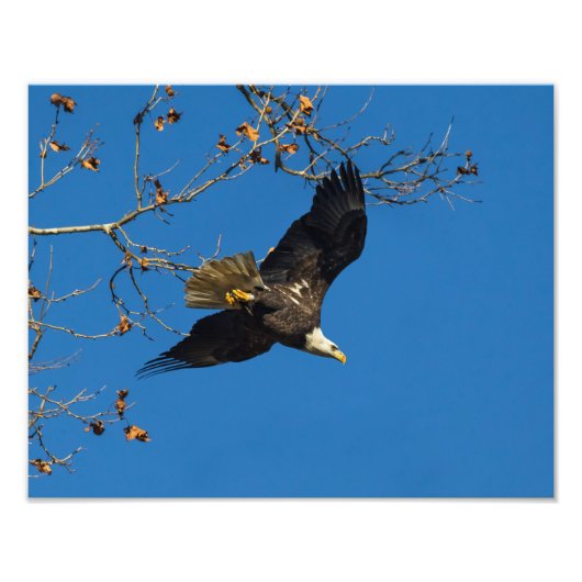 Impression Photo Entreprise sérieuse (Devant)