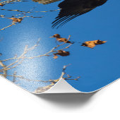 Impression Photo Entreprise sérieuse (Coin)