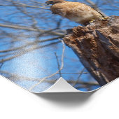 Impression Photo Épaule rouge (Coin)