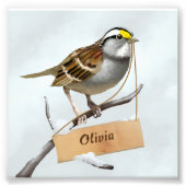 Impression Photo Épervier (Devant)