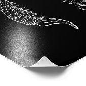 Impression Photo Epine anatomique humaine, noir et blanc (Coin)