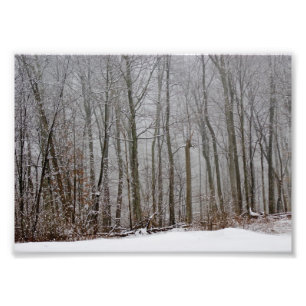 Impression Photo Épreuve photographique du brouillard 7x5 d'hivers
