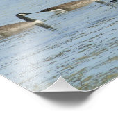 Impression Photo Ésaïe 43:2 Verset biblique avec oies nageuses (Coin)