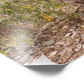 Impression Photo Escalade royale de Tigre du Bengale sur l'arbre (Coin)