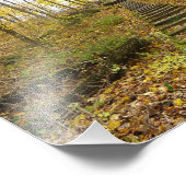 Impression Photo Escaliers en bois dans un parc national (Coin)