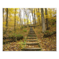 Escaliers en bois dans un parc national