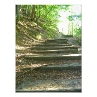 Impression Photo Escaliers Jusqu'À La Forêt