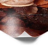 Impression Photo Escargot (Coin)