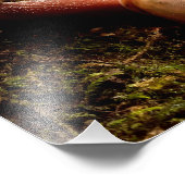 Impression Photo Escargot (Coin)