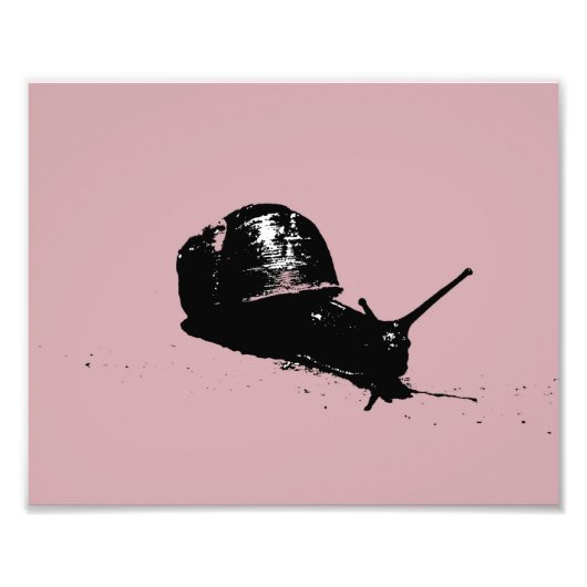 Impression Photo Escargot rose (Devant)