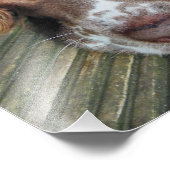 IMPRESSION PHOTO ESPAGNOL DE PLONGÉE ANGLAISE (Coin)